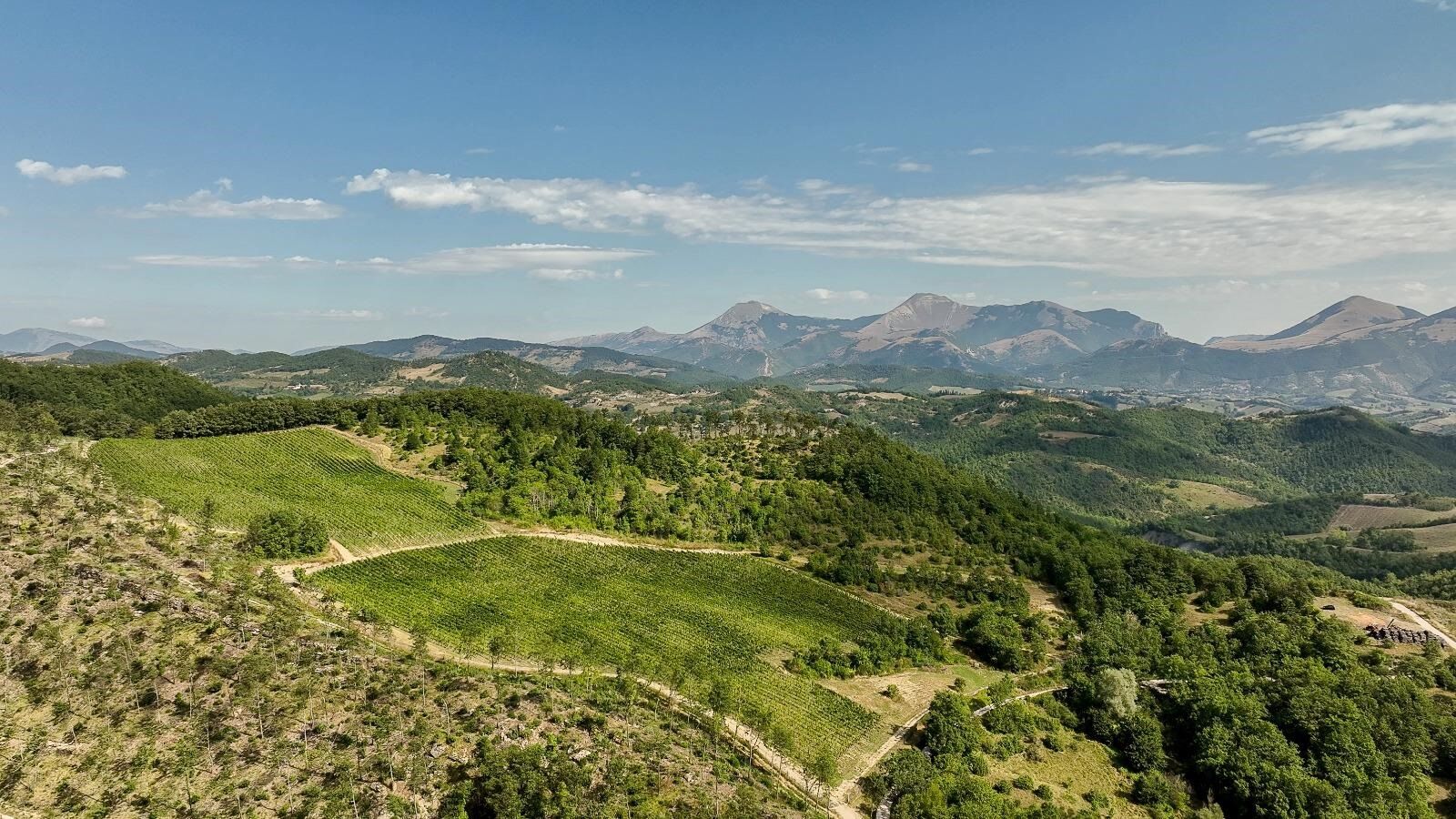 spume_3261cab1-8a8f-4d03-8514-c88542fd05b6