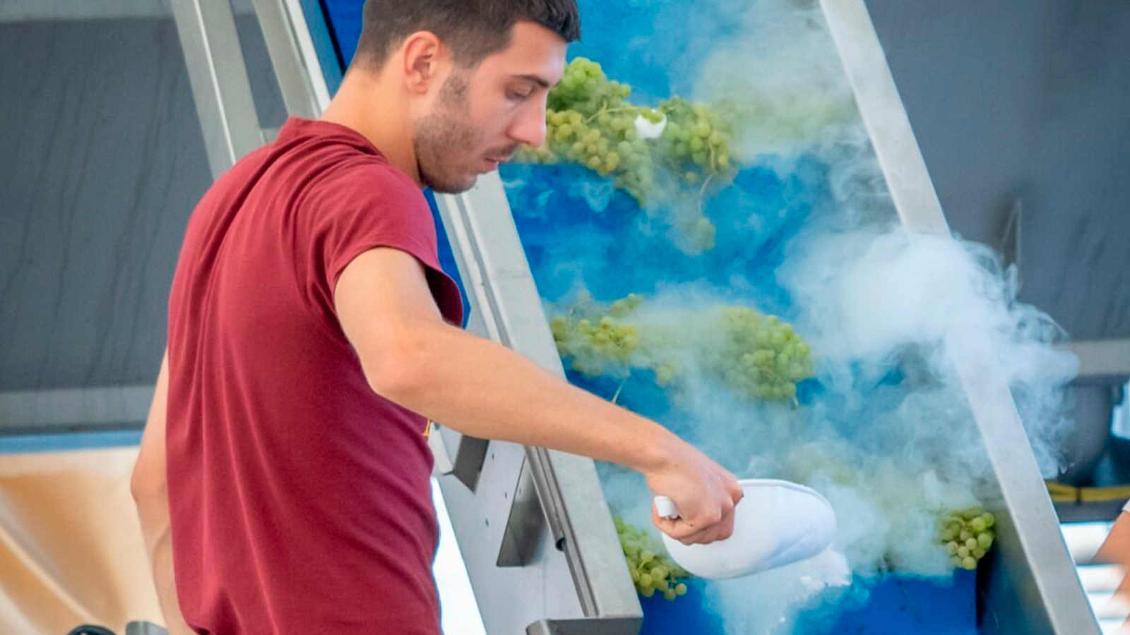 spume_cd21c19a-c849-4390-a5d8-8f1824813c40